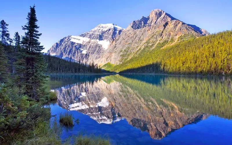高端高效